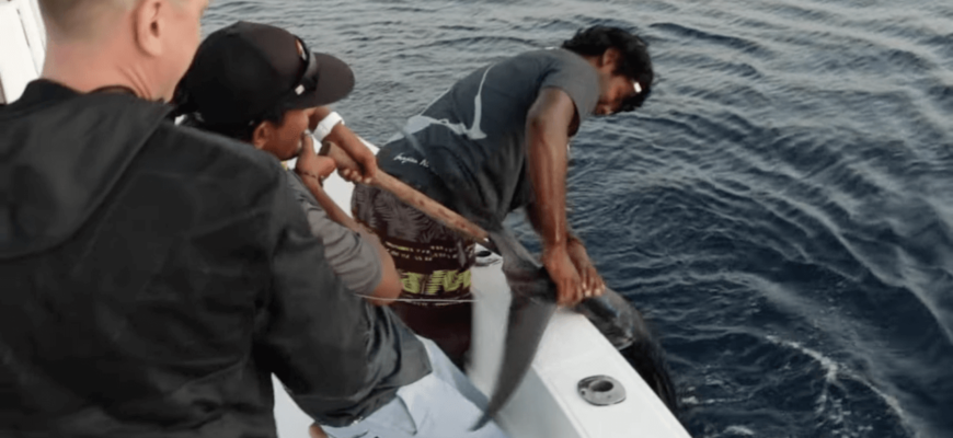 Правила рыбалки на Мальдивах