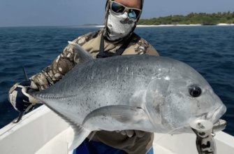 Рыбалка – Мальдивы с русским капитаном